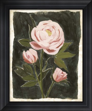 Framed Vintage Peonies II Print