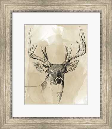 Framed Burnished Buck I Print