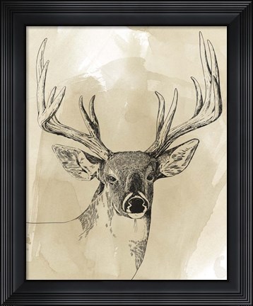 Framed Burnished Buck I Print