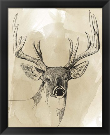 Framed Burnished Buck I Print