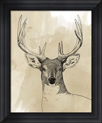 Framed Burnished Buck II Print