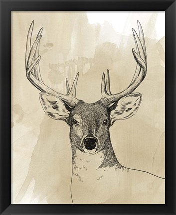 Framed Burnished Buck II Print