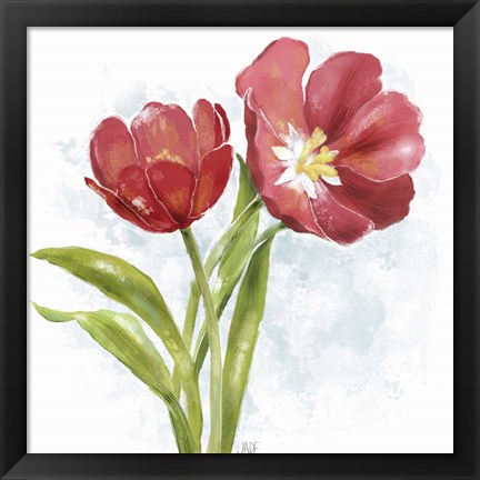 Framed Red Tulip Splash I Print