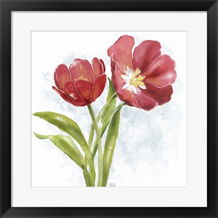 Framed Red Tulip Splash I Print