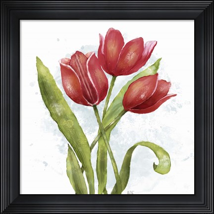 Framed Red Tulip Splash II Print