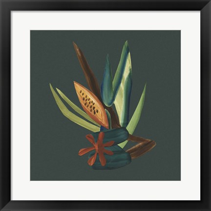 Framed Tropic of Capricorn I Print