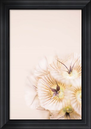 Framed Bleach Blonde I Print