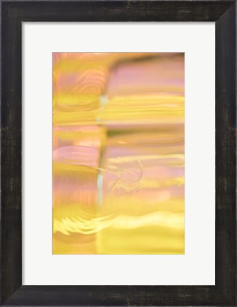 Framed Sunny Glass I Print