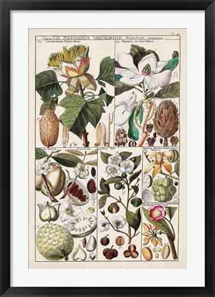 Framed Magnolia Chart Print