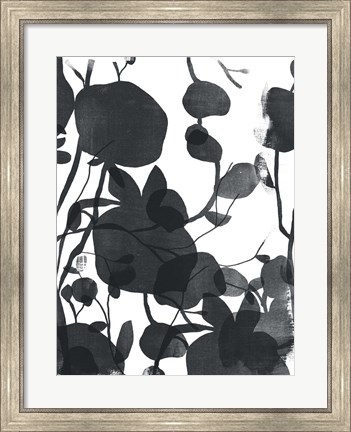Framed Monoflora II Print