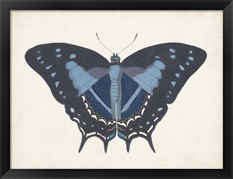 Framed Beautiful Butterfly III Print