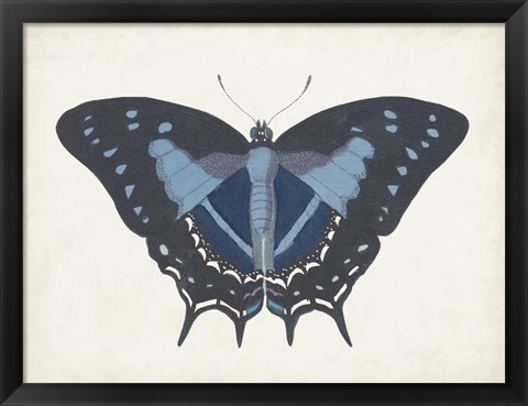 Framed Beautiful Butterfly III Print