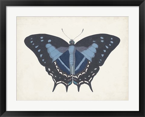 Framed Beautiful Butterfly III Print