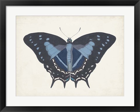 Framed Beautiful Butterfly III Print