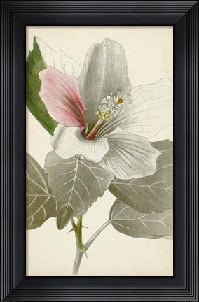 Framed Silvery Botanicals VI Print