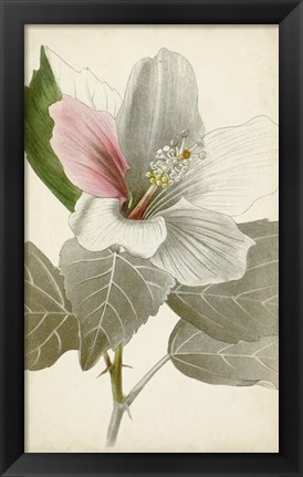 Framed Silvery Botanicals VI Print