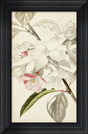 Framed Silvery Botanicals VIII Print
