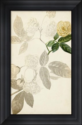 Framed Silvery Botanicals XII Print