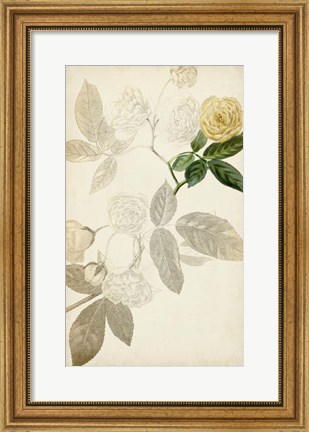 Framed Silvery Botanicals XII Print