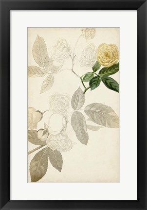 Framed Silvery Botanicals XII Print