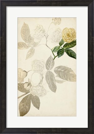 Framed Silvery Botanicals XII Print