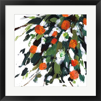 Framed Ripe Tangerines II Print