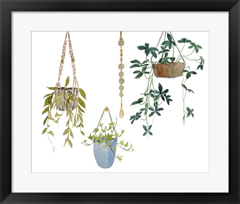 Framed Hanging Greens I Print