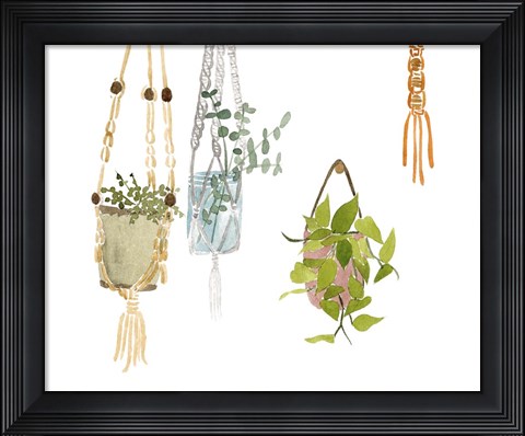 Framed Hanging Greens II Print