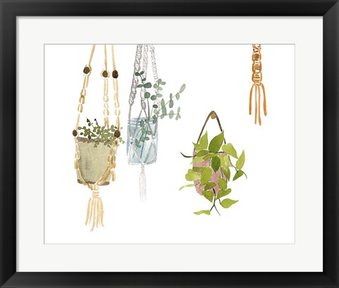 Framed Hanging Greens II Print