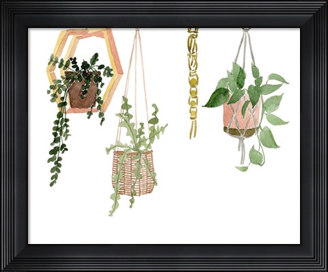 Framed Hanging Greens III Print