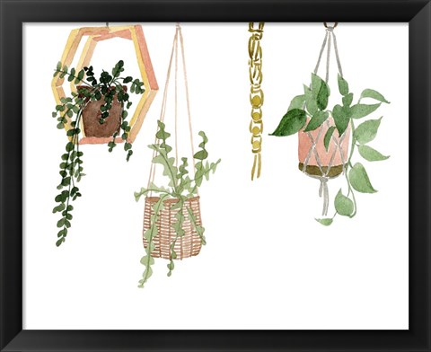 Framed Hanging Greens III Print