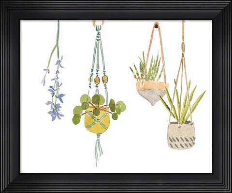 Framed Hanging Greens IV Print