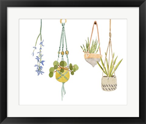 Framed Hanging Greens IV Print