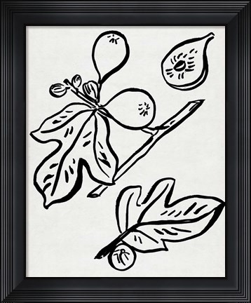 Framed Fig Season I Print