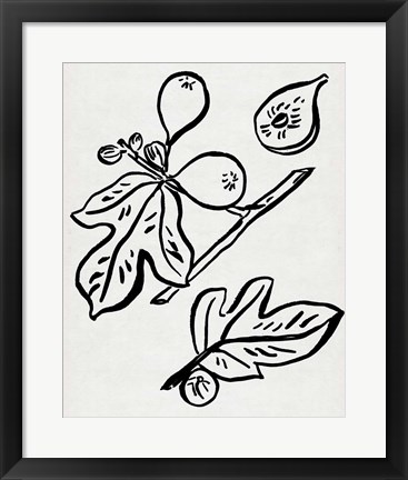 Framed Fig Season I Print