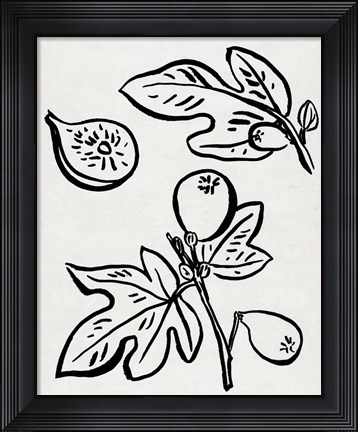 Framed Fig Season II Print
