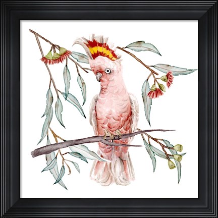 Framed Pink Cockatoo I Print