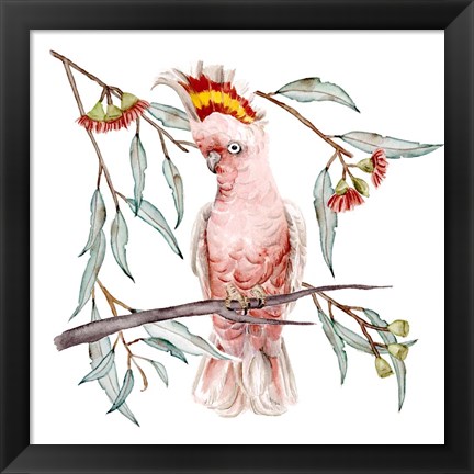 Framed Pink Cockatoo I Print