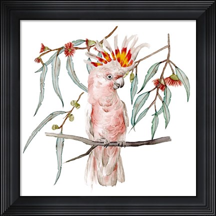 Framed Pink Cockatoo II Print