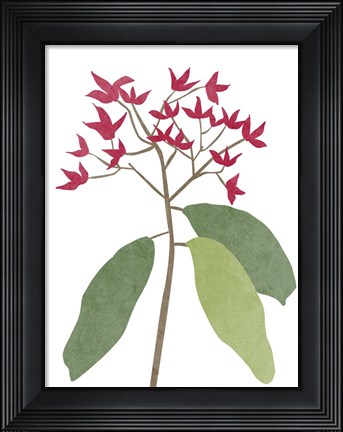 Framed Begonia Stem I Print