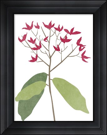 Framed Begonia Stem II Print