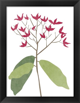 Framed Begonia Stem II Print