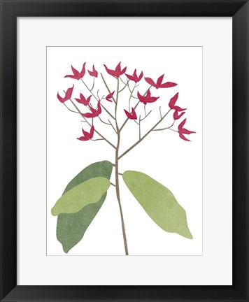 Framed Begonia Stem II Print