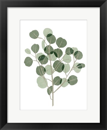 Framed Windy Eucalyptus I Print