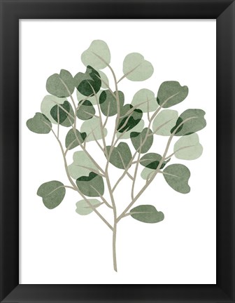 Framed Windy Eucalyptus II Print