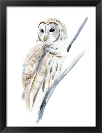 Framed Arctic Owl I Print