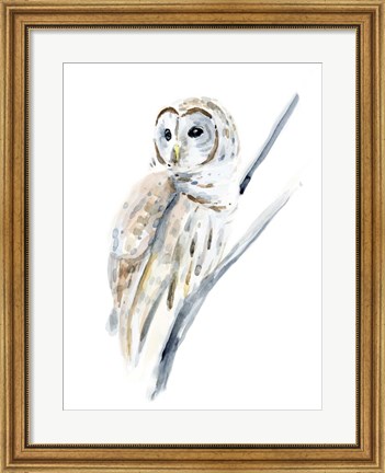 Framed Arctic Owl I Print