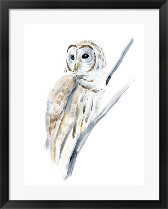 Framed Arctic Owl I Print