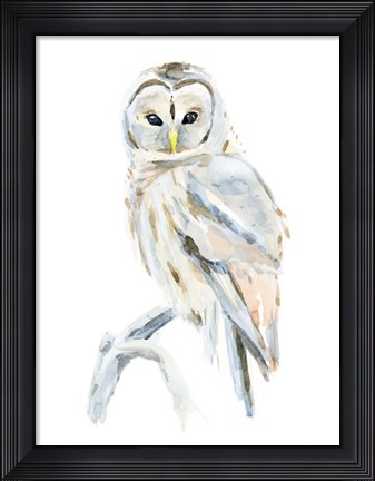 Framed Arctic Owl II Print