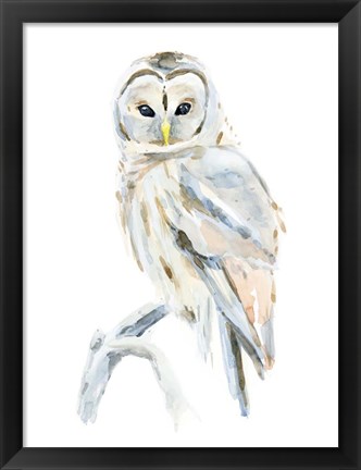 Framed Arctic Owl II Print